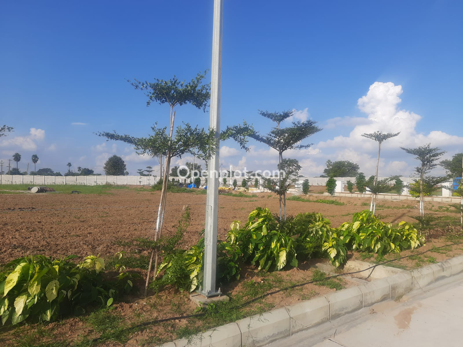 Plot for Sale in Shamshabad,Ranga Reddy